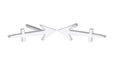 women's lovely earrings elegant star zodiac sign Fish Charm stainless steel large jewelry simple Earring Gift